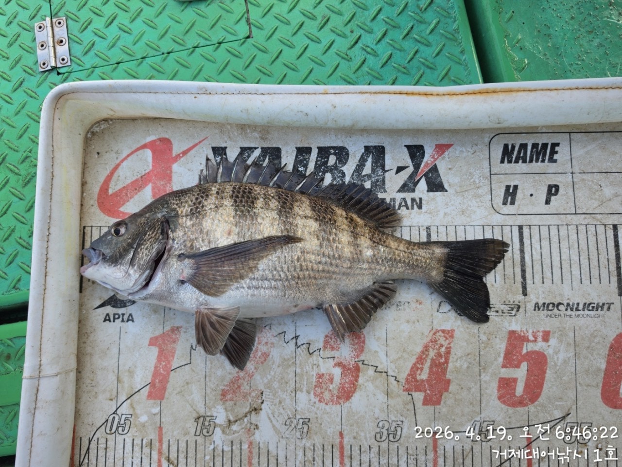 ����ڰ� �ø� �̹���