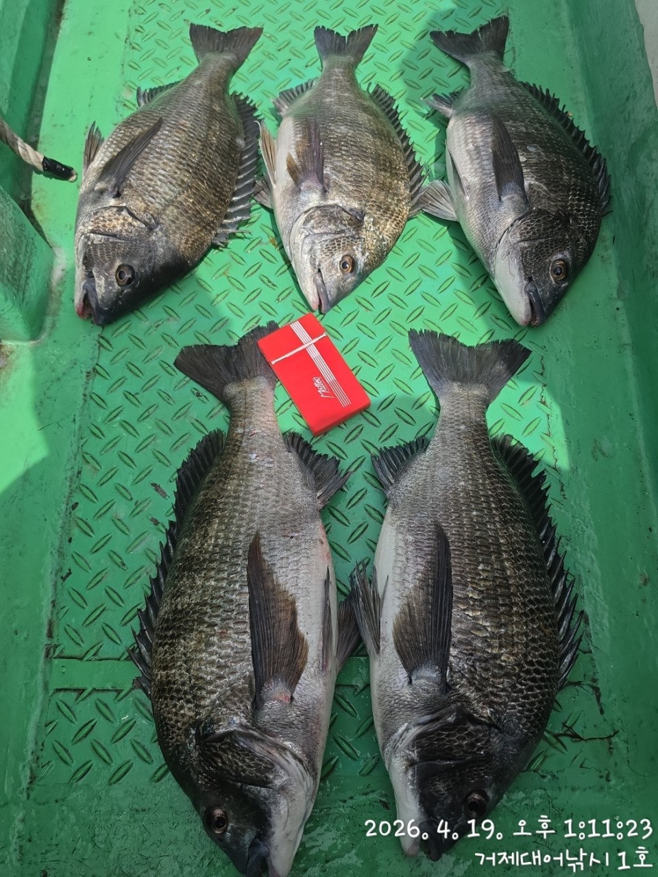 ����ڰ� �ø� �̹���