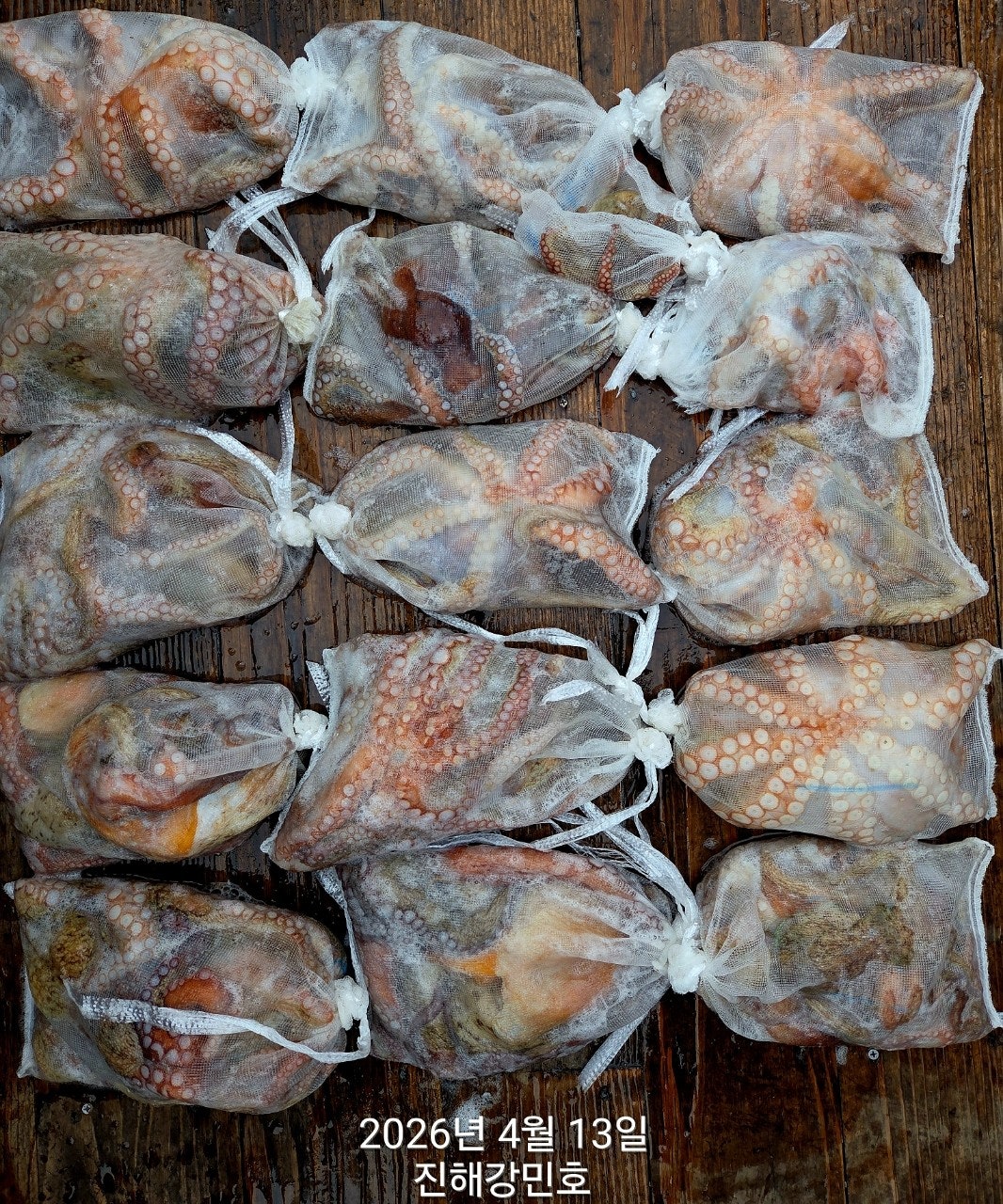 ����ڰ� �ø� �̹���