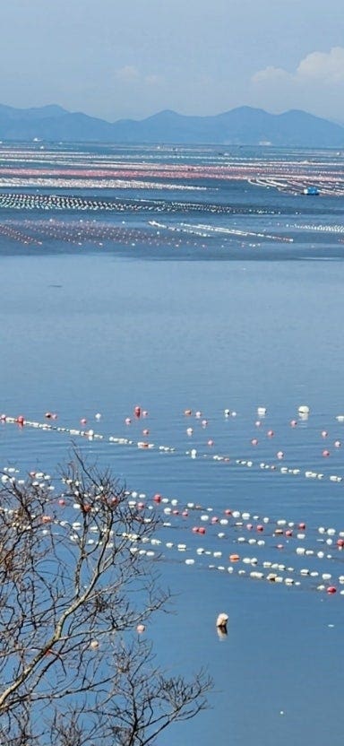 전국