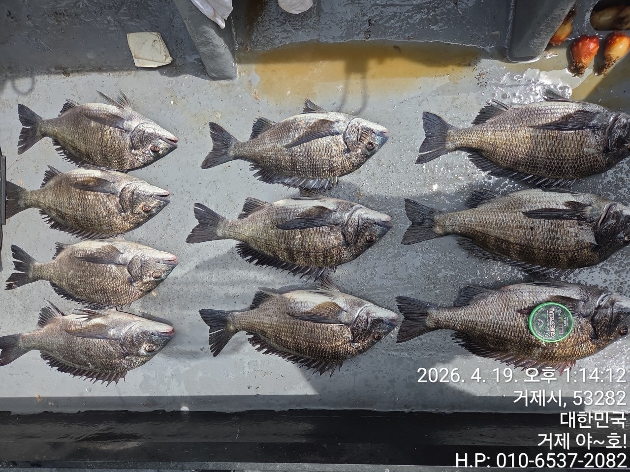 ����ڰ� �ø� �̹���