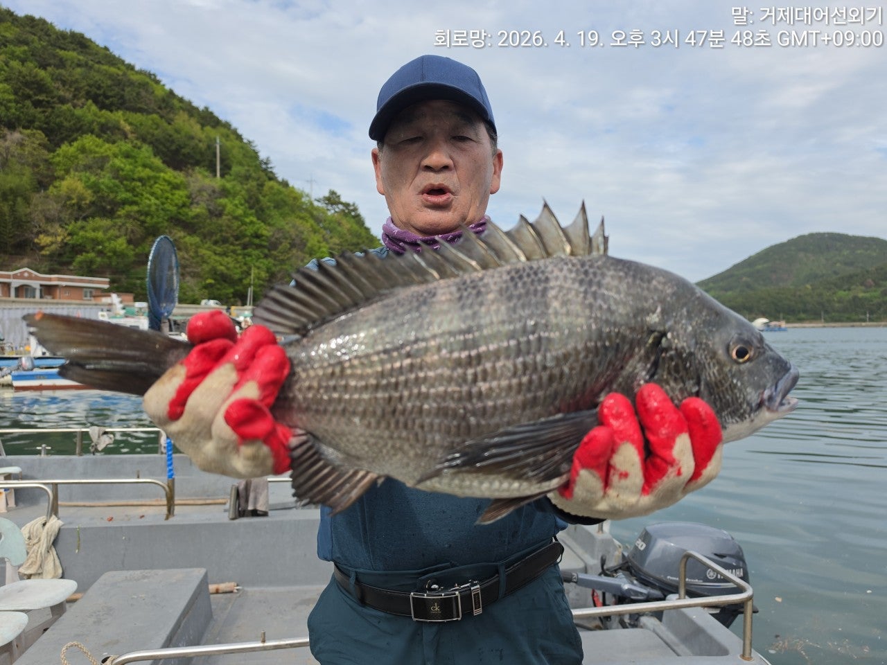 ����ڰ� �ø� �̹���