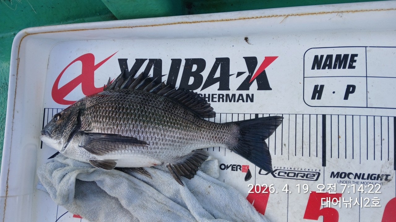 ����ڰ� �ø� �̹���