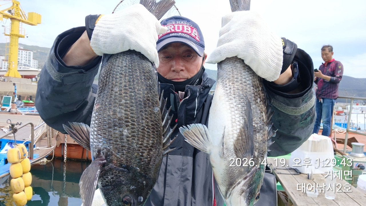 ����ڰ� �ø� �̹���