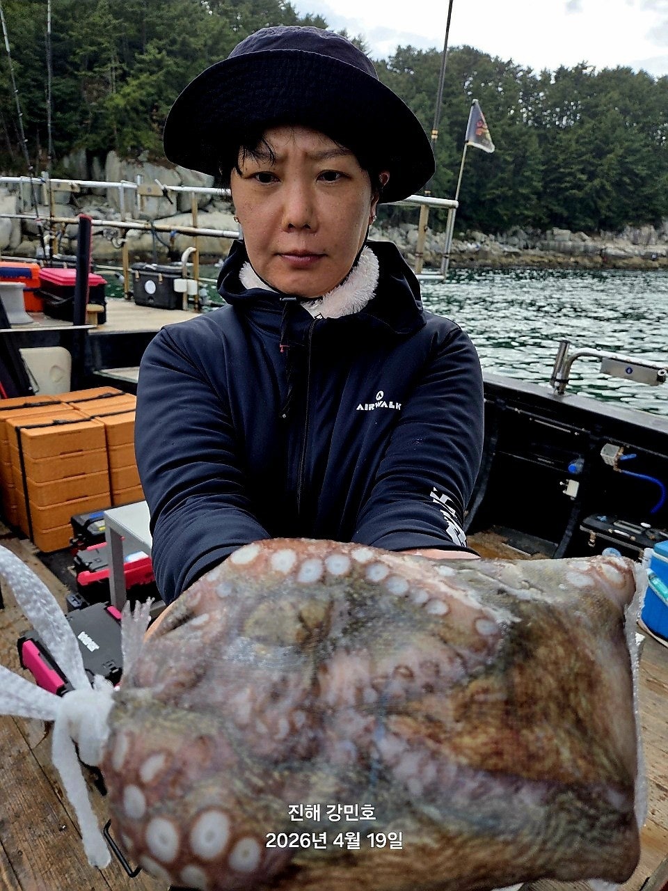 ����ڰ� �ø� �̹���