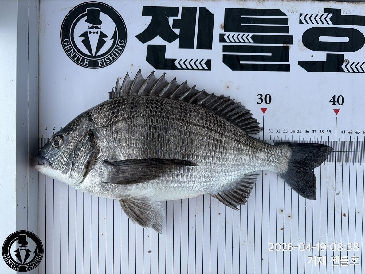 ����ڰ� �ø� �̹���