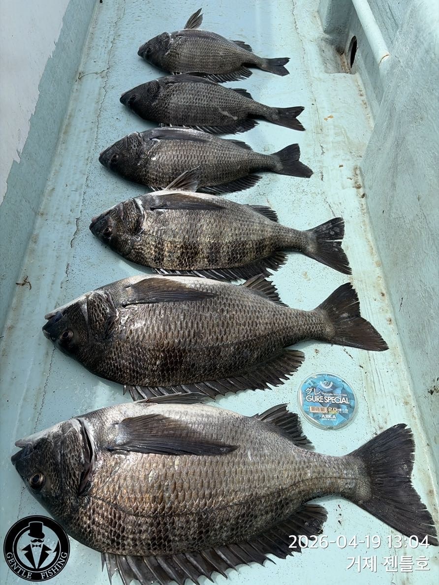 ����ڰ� �ø� �̹���