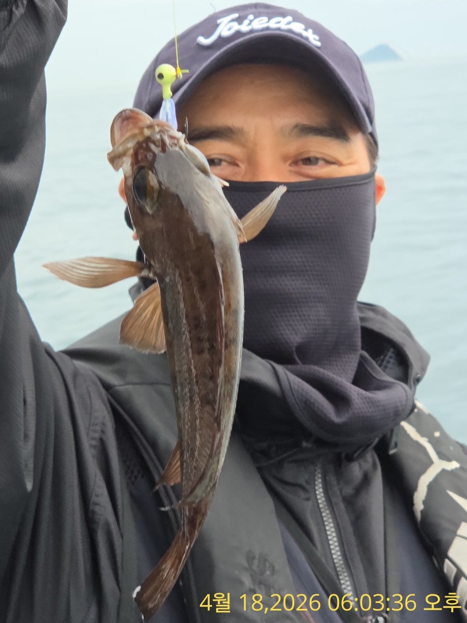 ����ڰ� �ø� �̹���