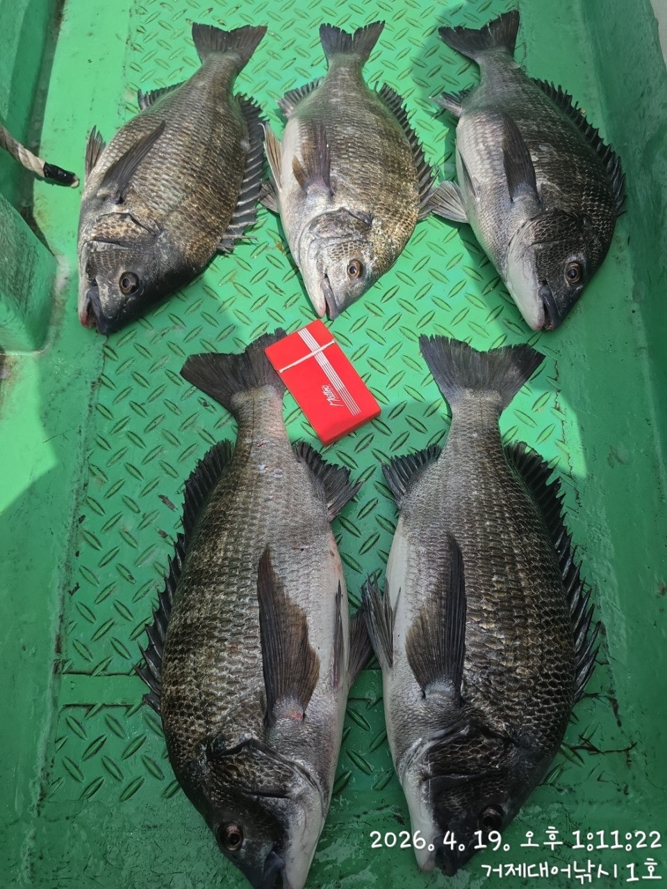 ����ڰ� �ø� �̹���