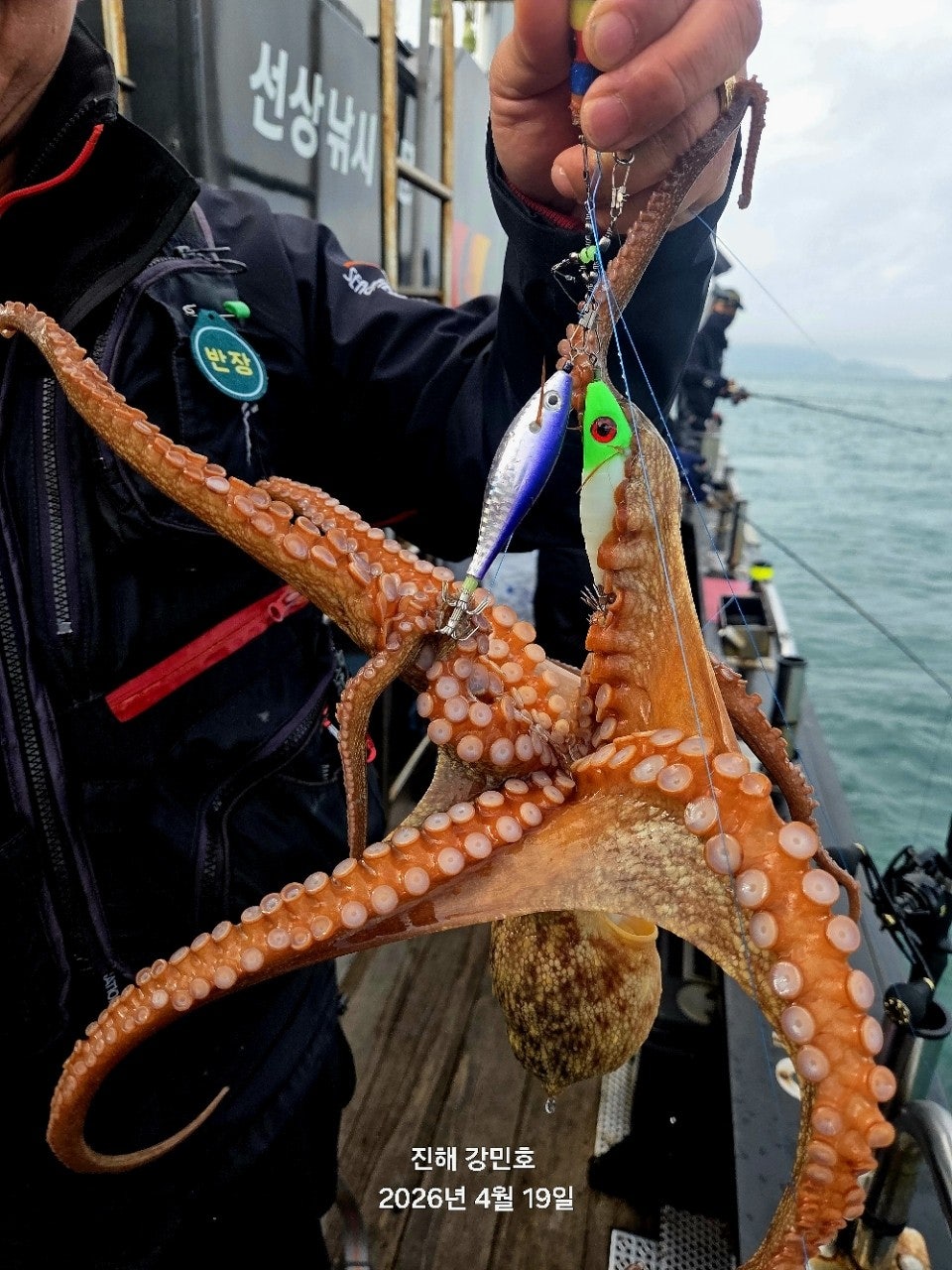 ����ڰ� �ø� �̹���