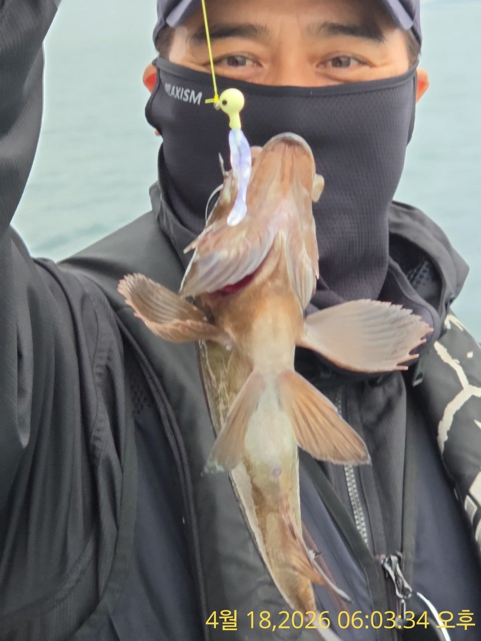 ����ڰ� �ø� �̹���