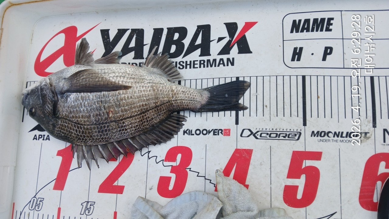 ����ڰ� �ø� �̹���