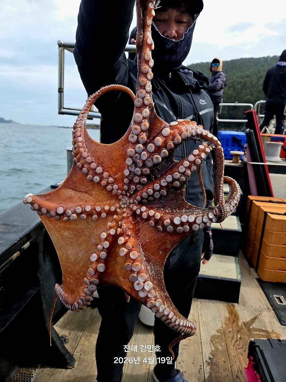 ����ڰ� �ø� �̹���