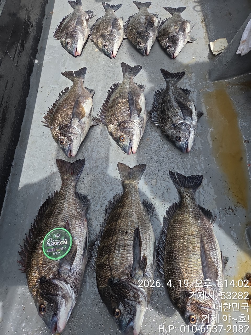 ����ڰ� �ø� �̹���