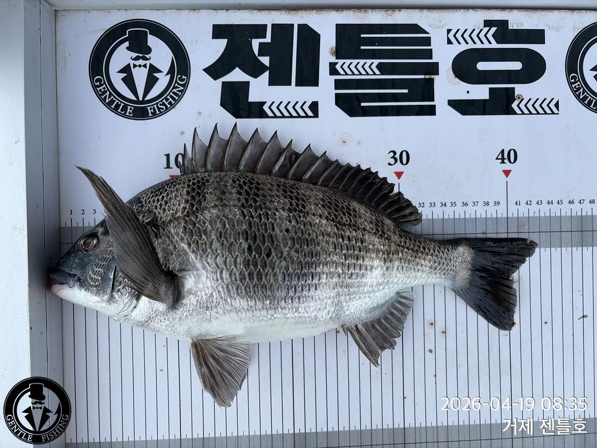 ����ڰ� �ø� �̹���