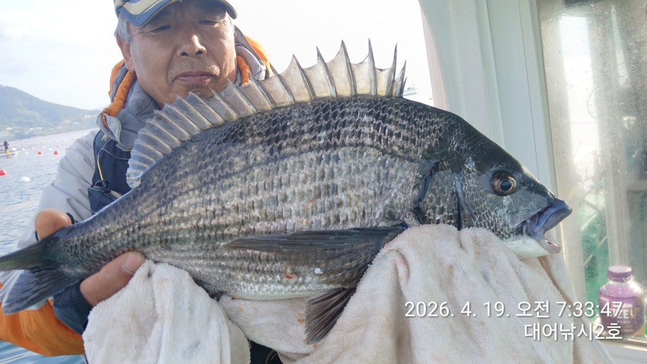 ����ڰ� �ø� �̹���