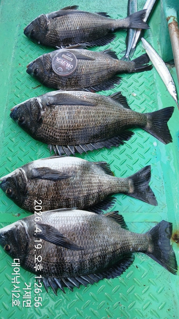 ����ڰ� �ø� �̹���