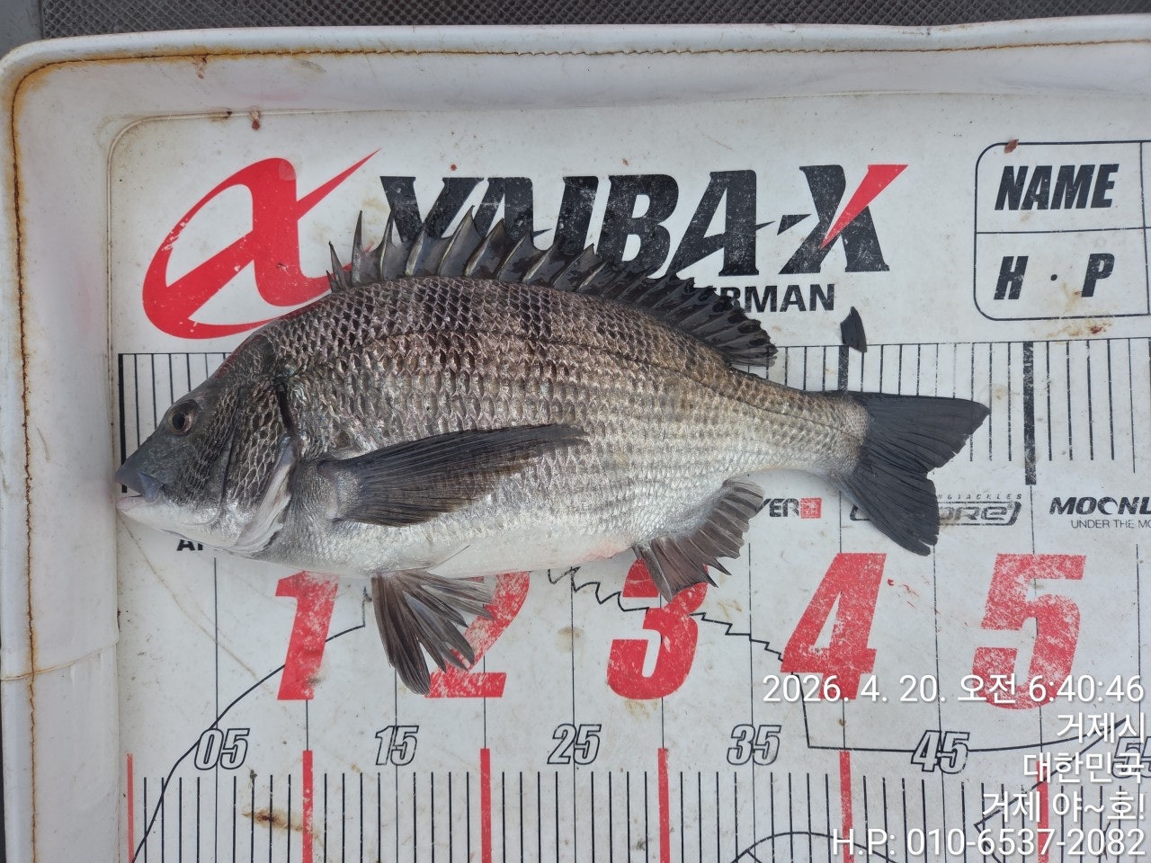 ����ڰ� �ø� �̹���