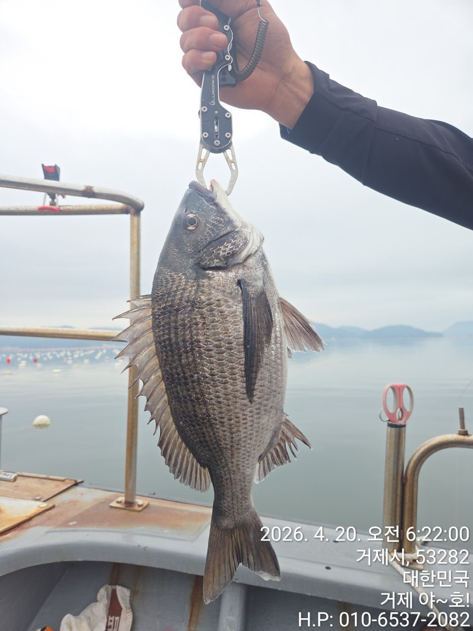 ����ڰ� �ø� �̹���