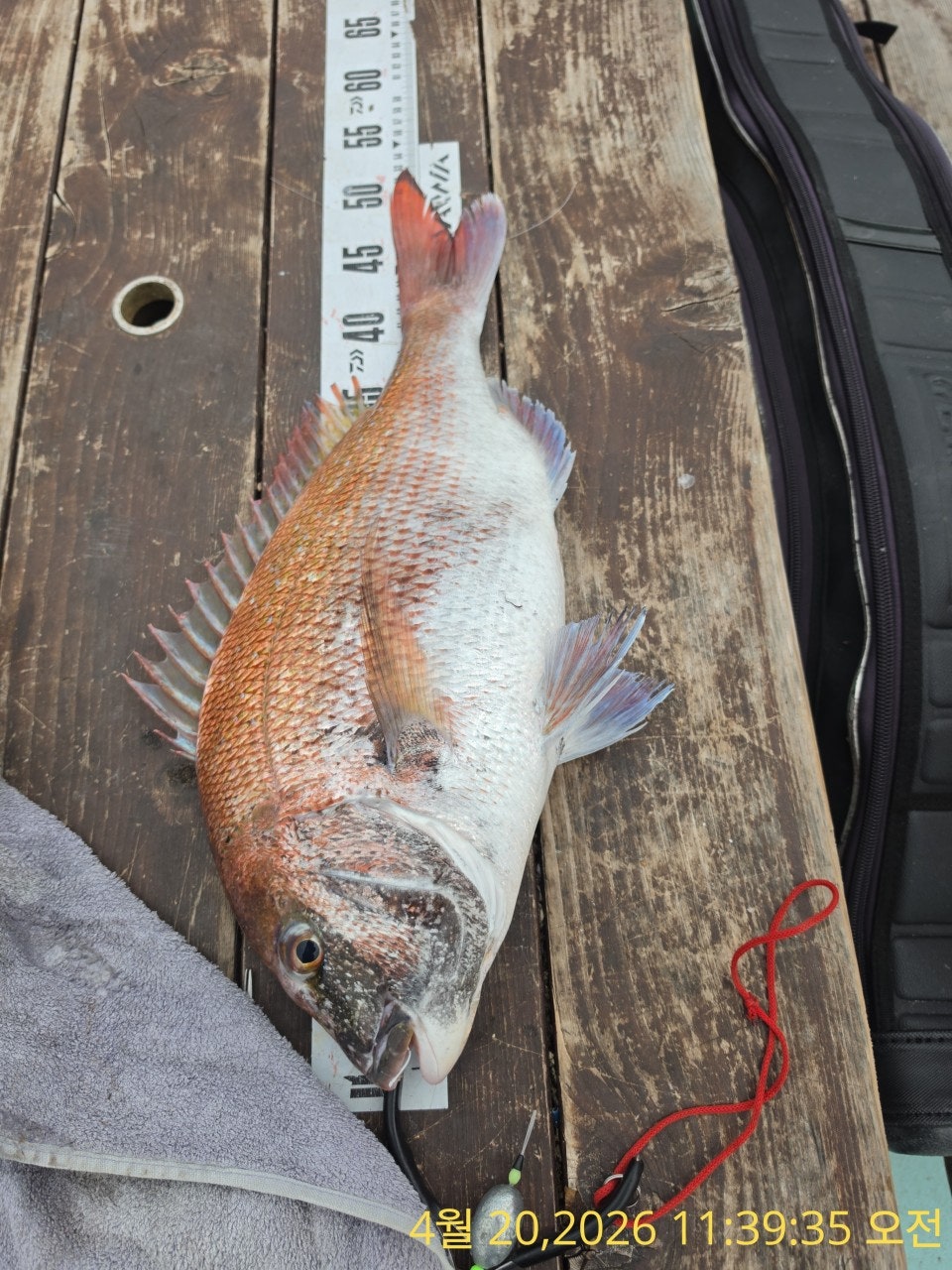 ����ڰ� �ø� �̹���