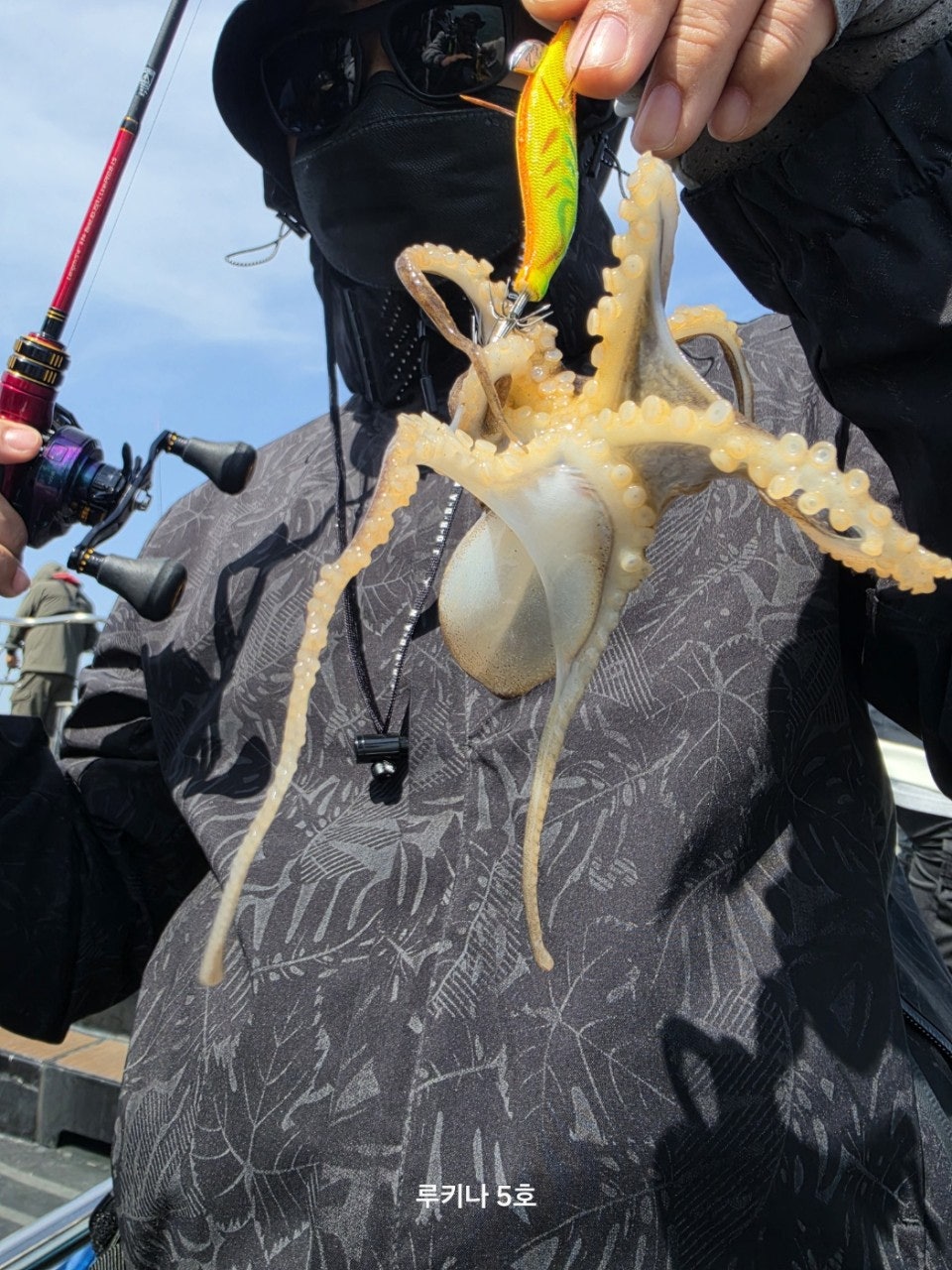 사용자가 올린 이미지