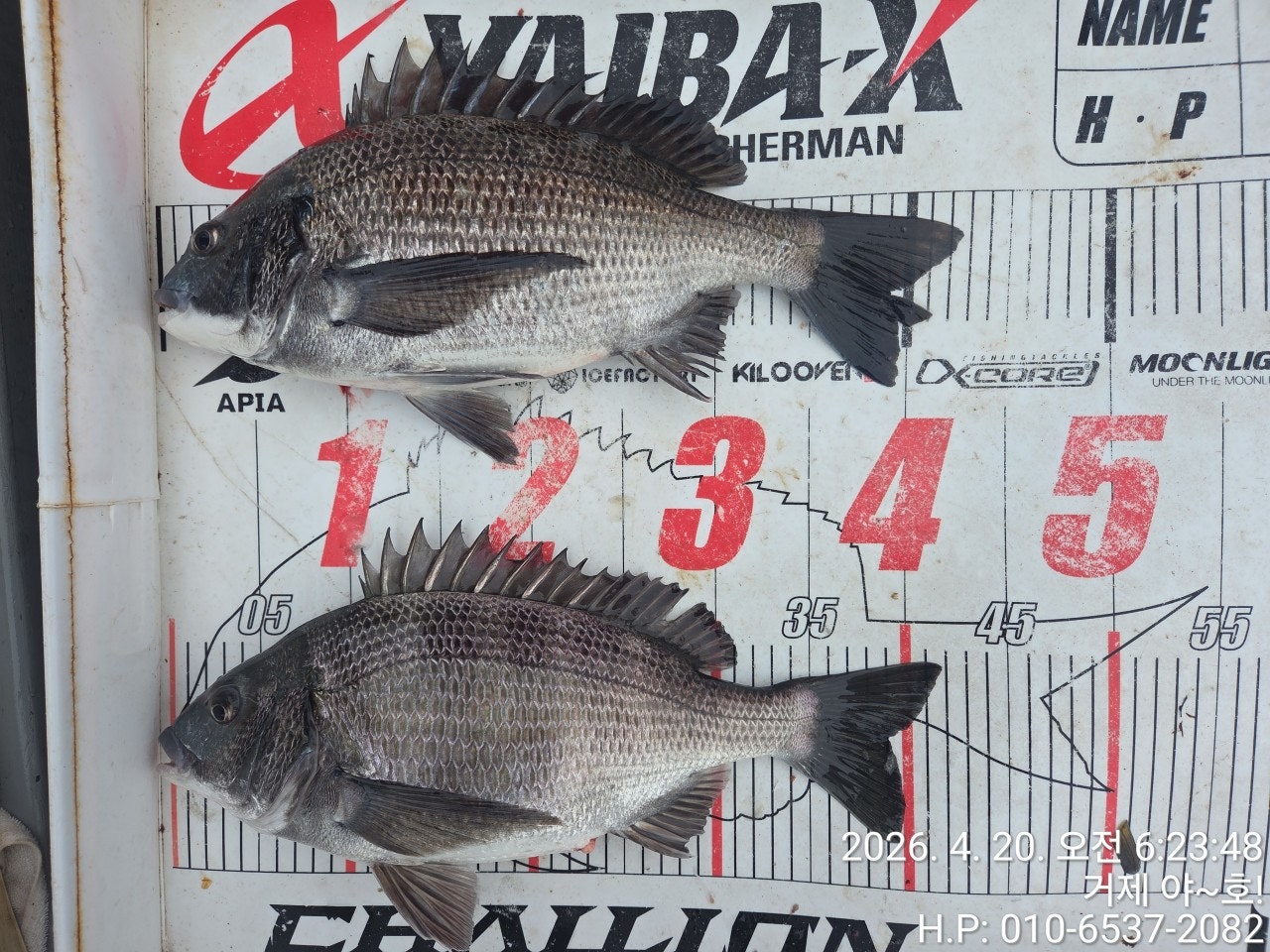 ����ڰ� �ø� �̹���