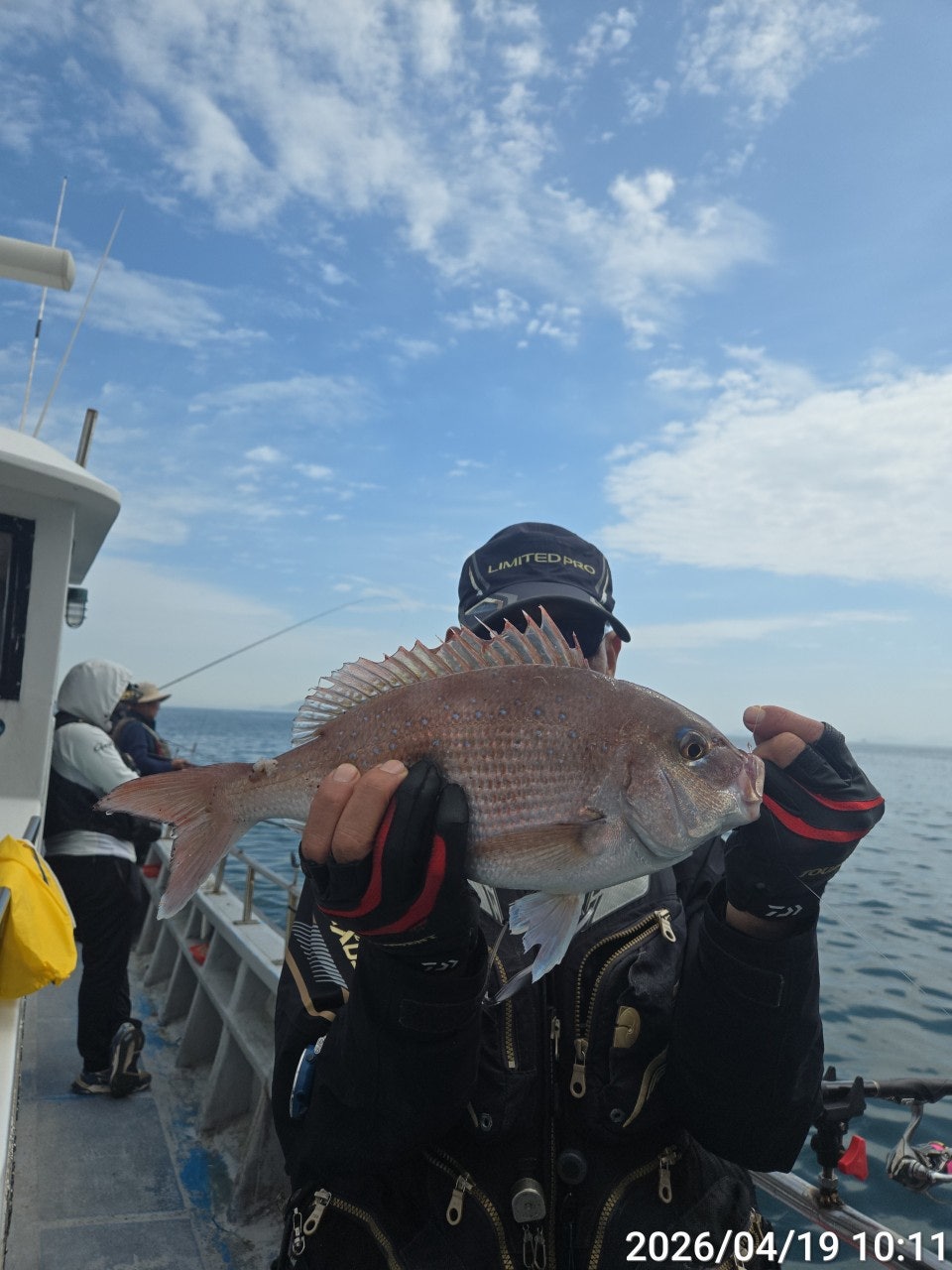 ����ڰ� �ø� �̹���