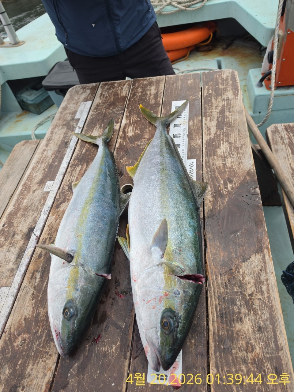 ����ڰ� �ø� �̹���