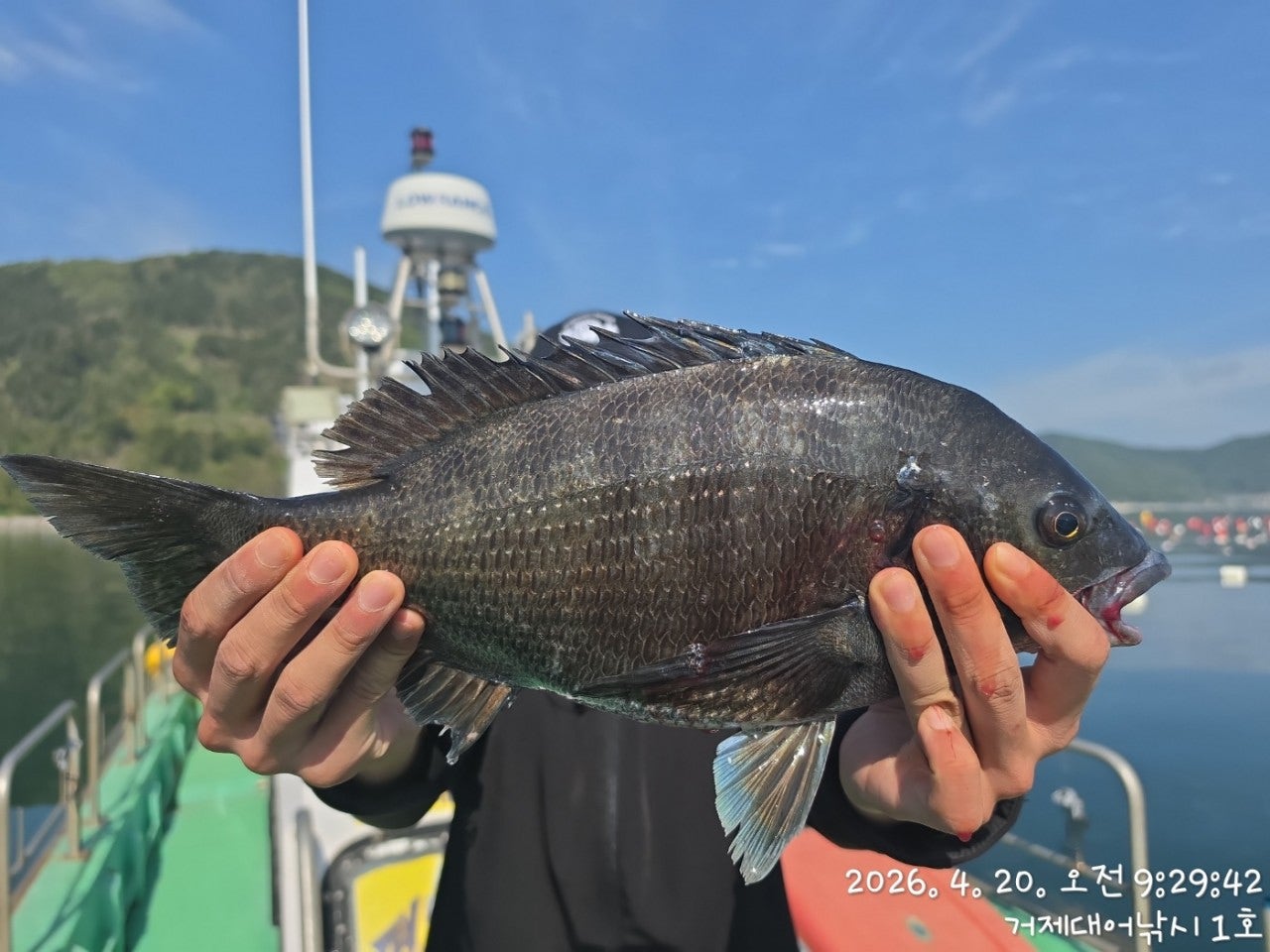 ����ڰ� �ø� �̹���