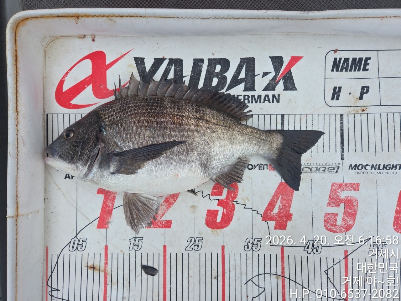 ����ڰ� �ø� �̹���