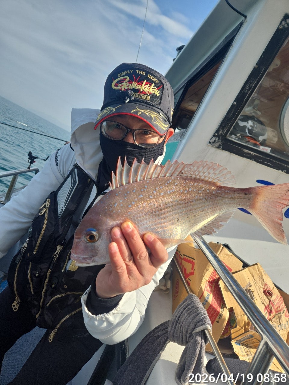 ����ڰ� �ø� �̹���