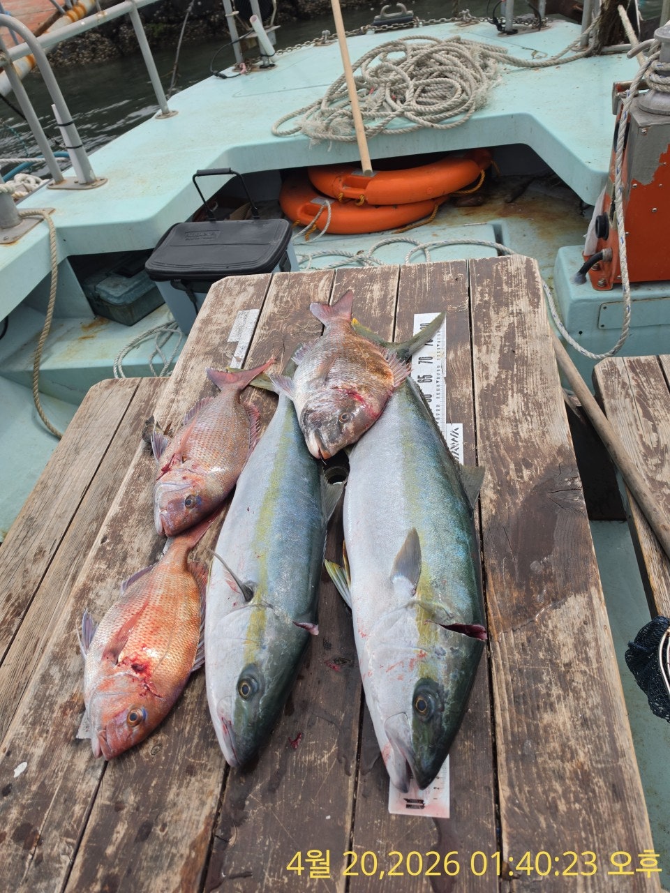 ����ڰ� �ø� �̹���