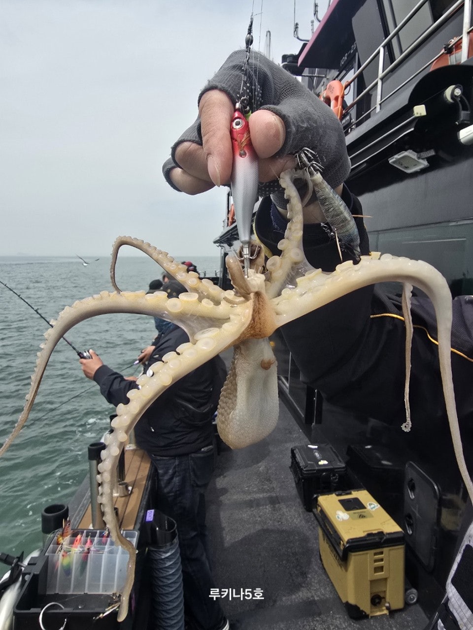 사용자가 올린 이미지