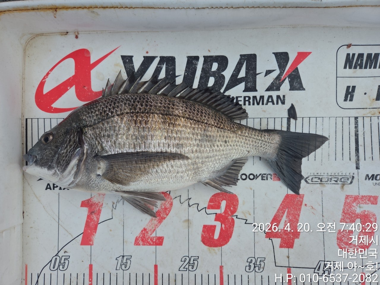 ����ڰ� �ø� �̹���