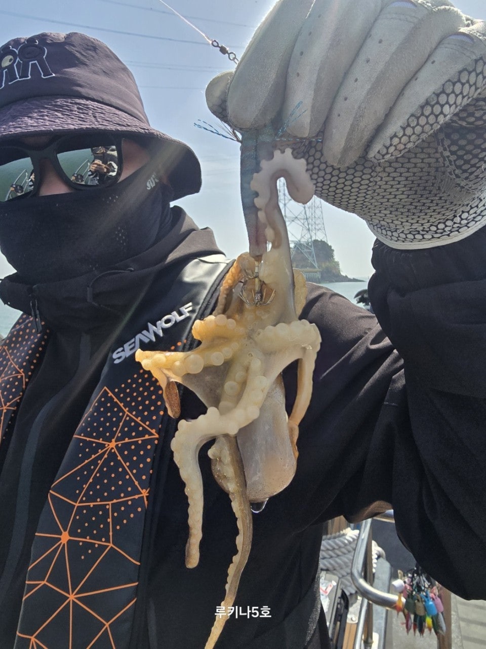 사용자가 올린 이미지