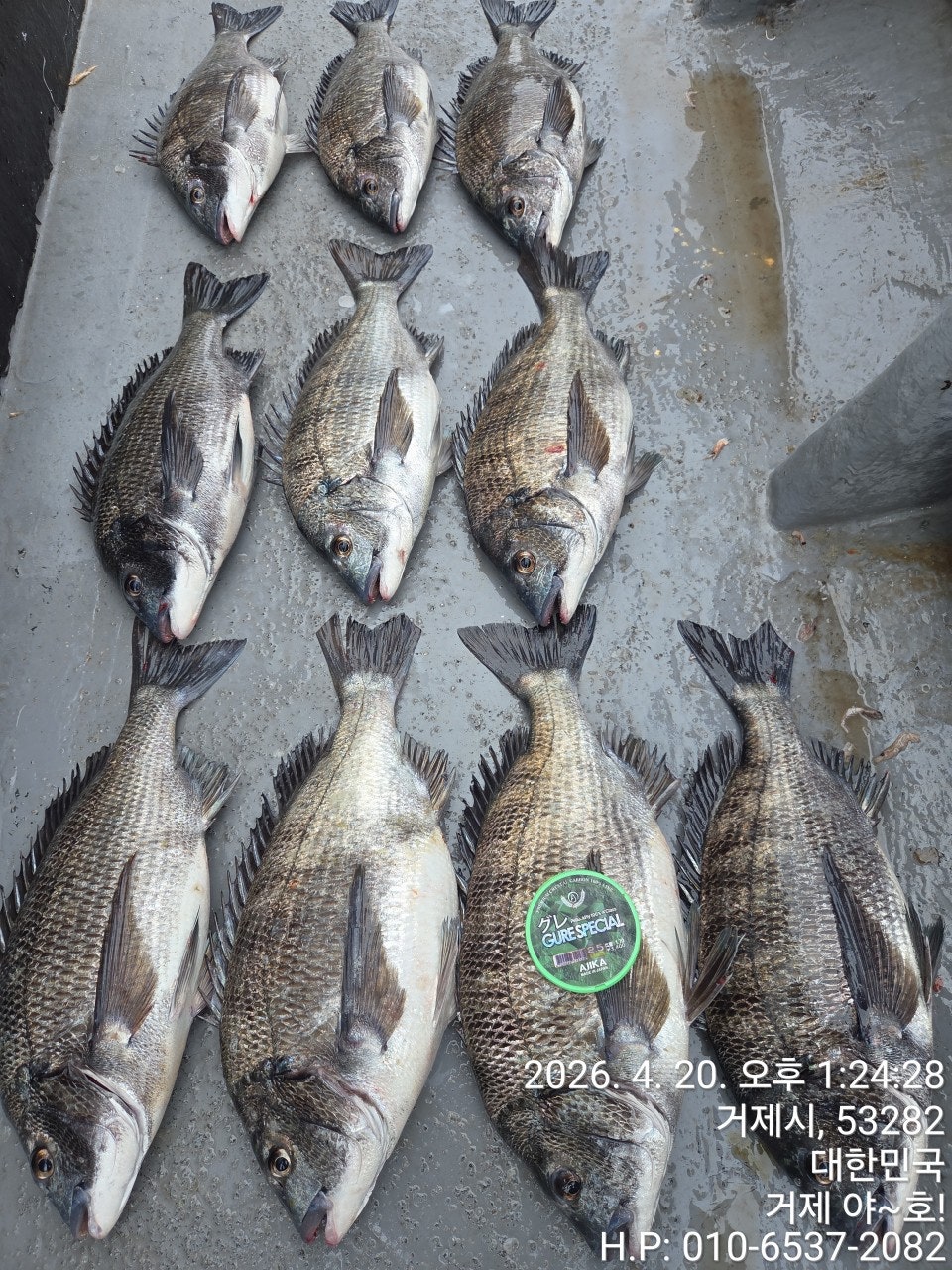 ����ڰ� �ø� �̹���