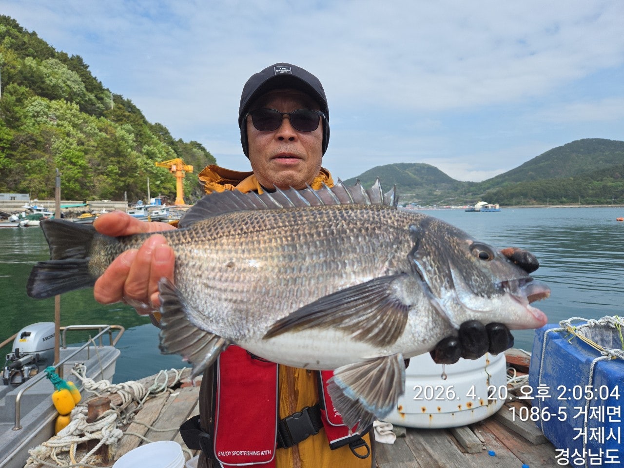 ����ڰ� �ø� �̹���