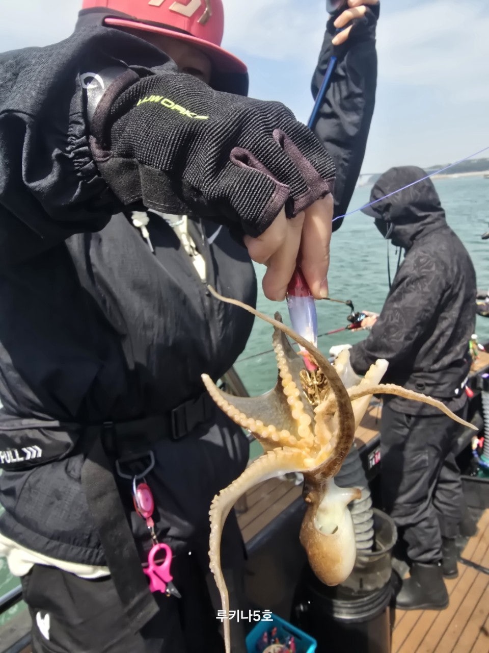 사용자가 올린 이미지