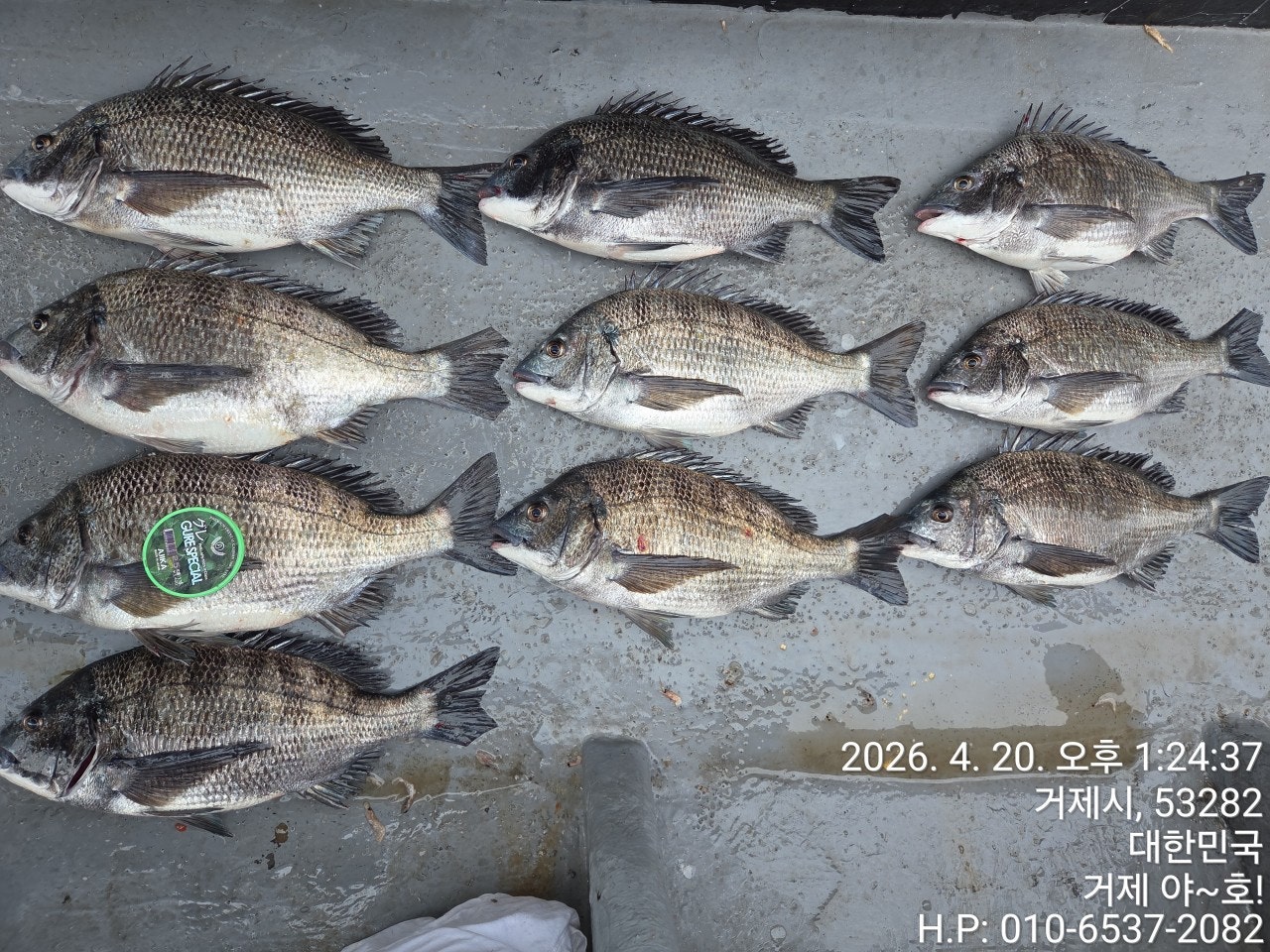 ����ڰ� �ø� �̹���