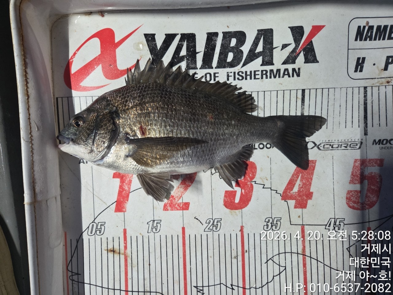 ����ڰ� �ø� �̹���