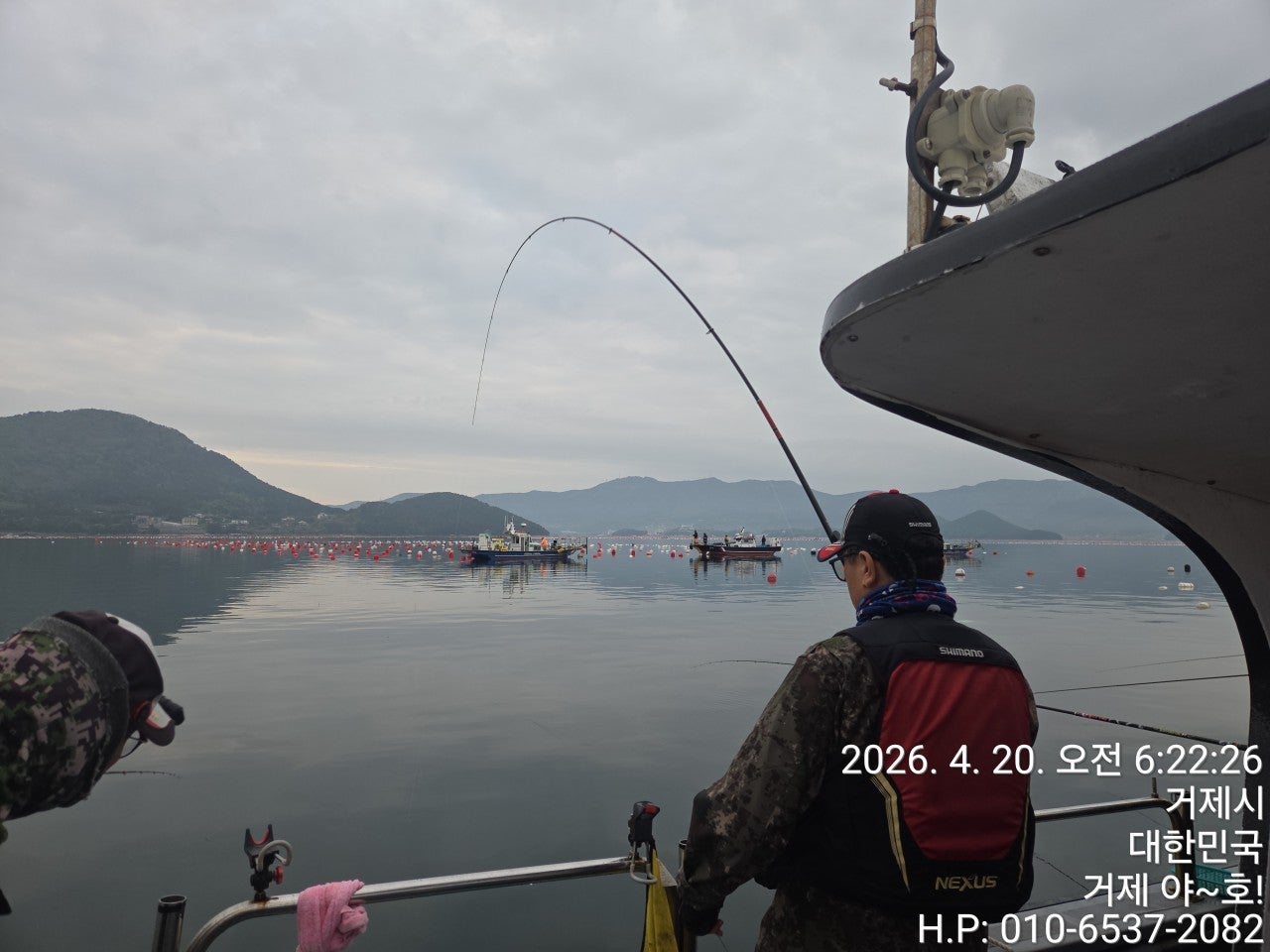 ����ڰ� �ø� �̹���