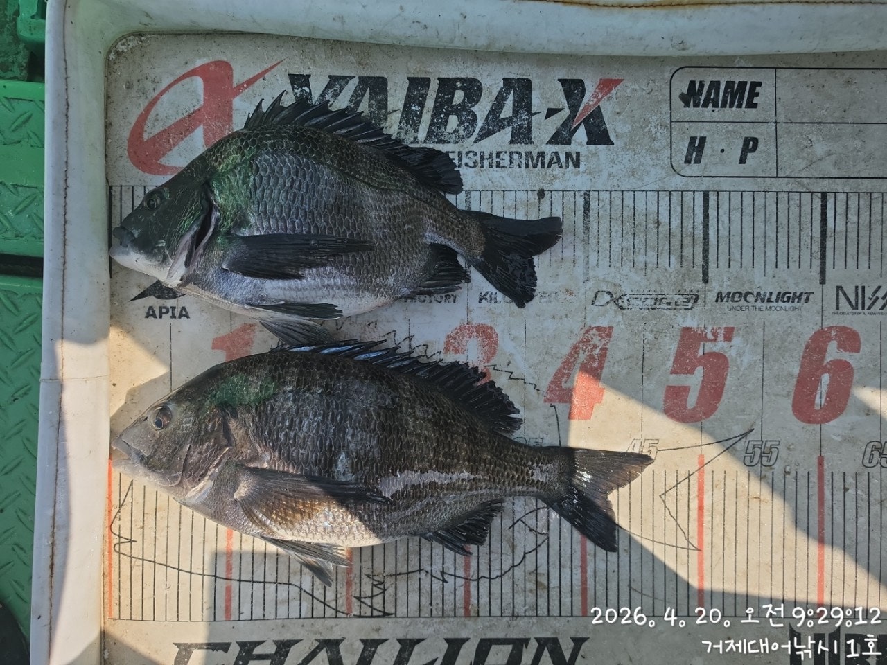 ����ڰ� �ø� �̹���