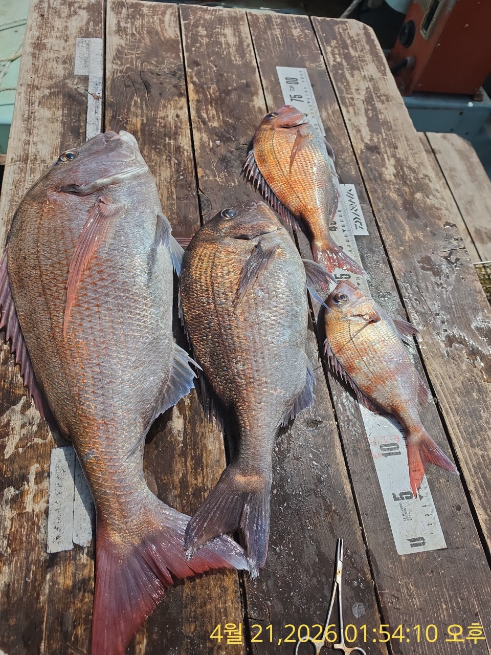 ����ڰ� �ø� �̹���