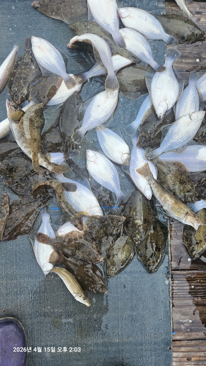 ����ڰ� �ø� �̹���