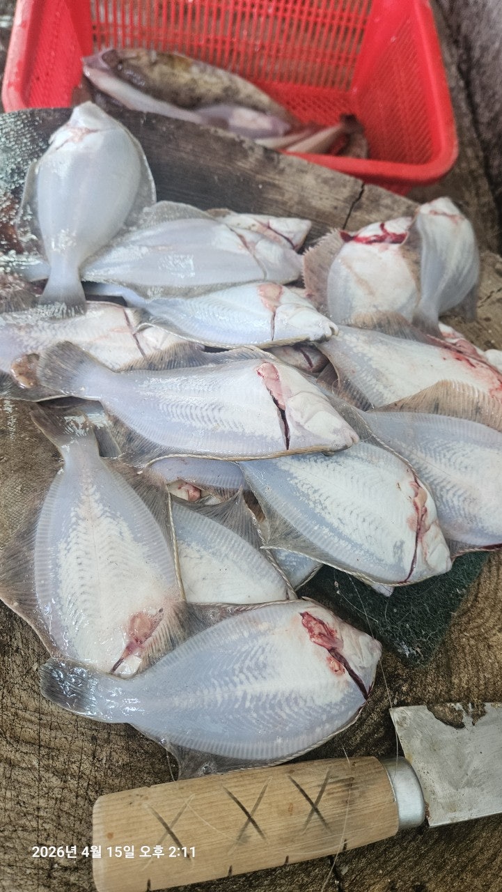 ����ڰ� �ø� �̹���