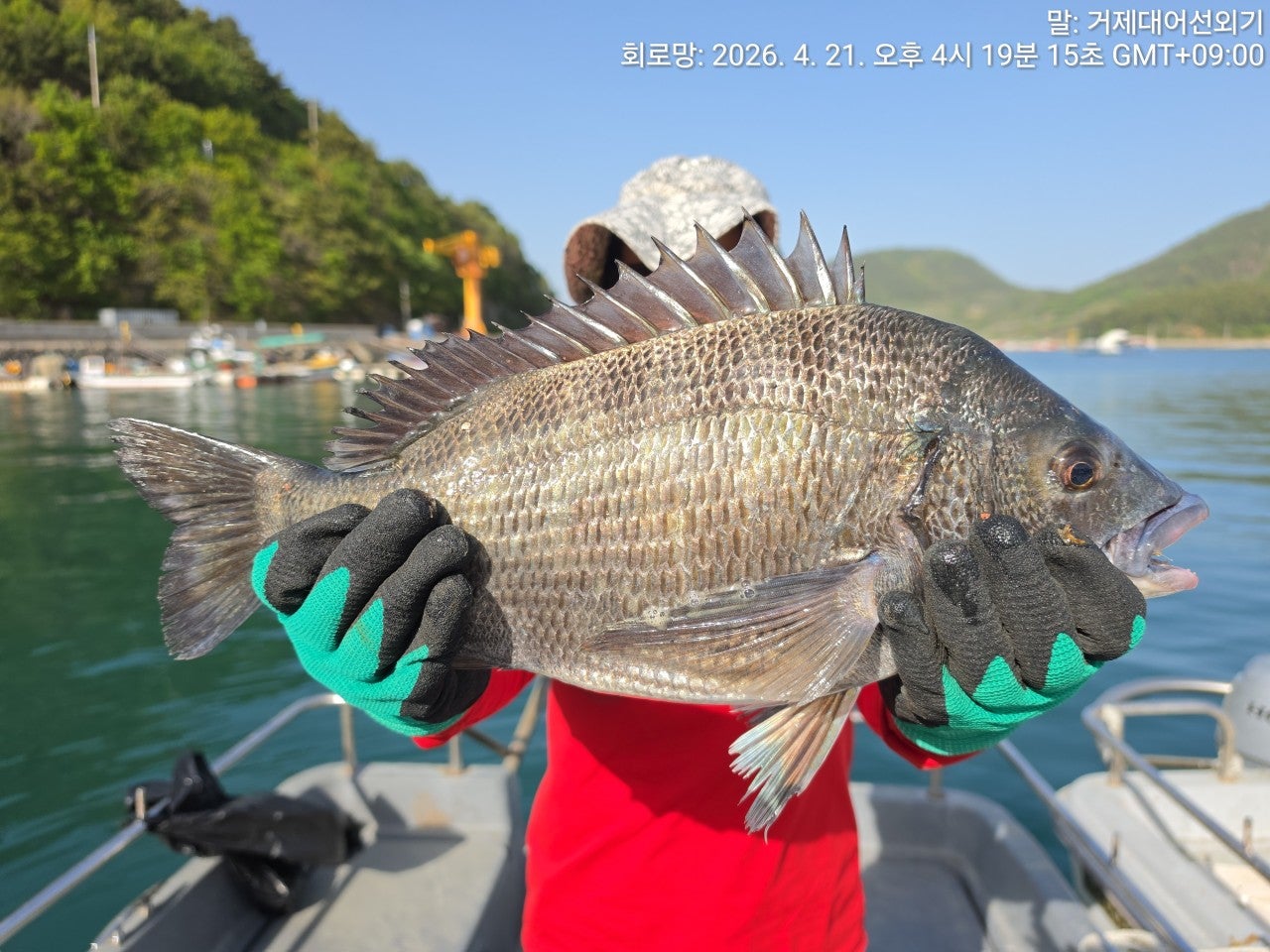 ����ڰ� �ø� �̹���