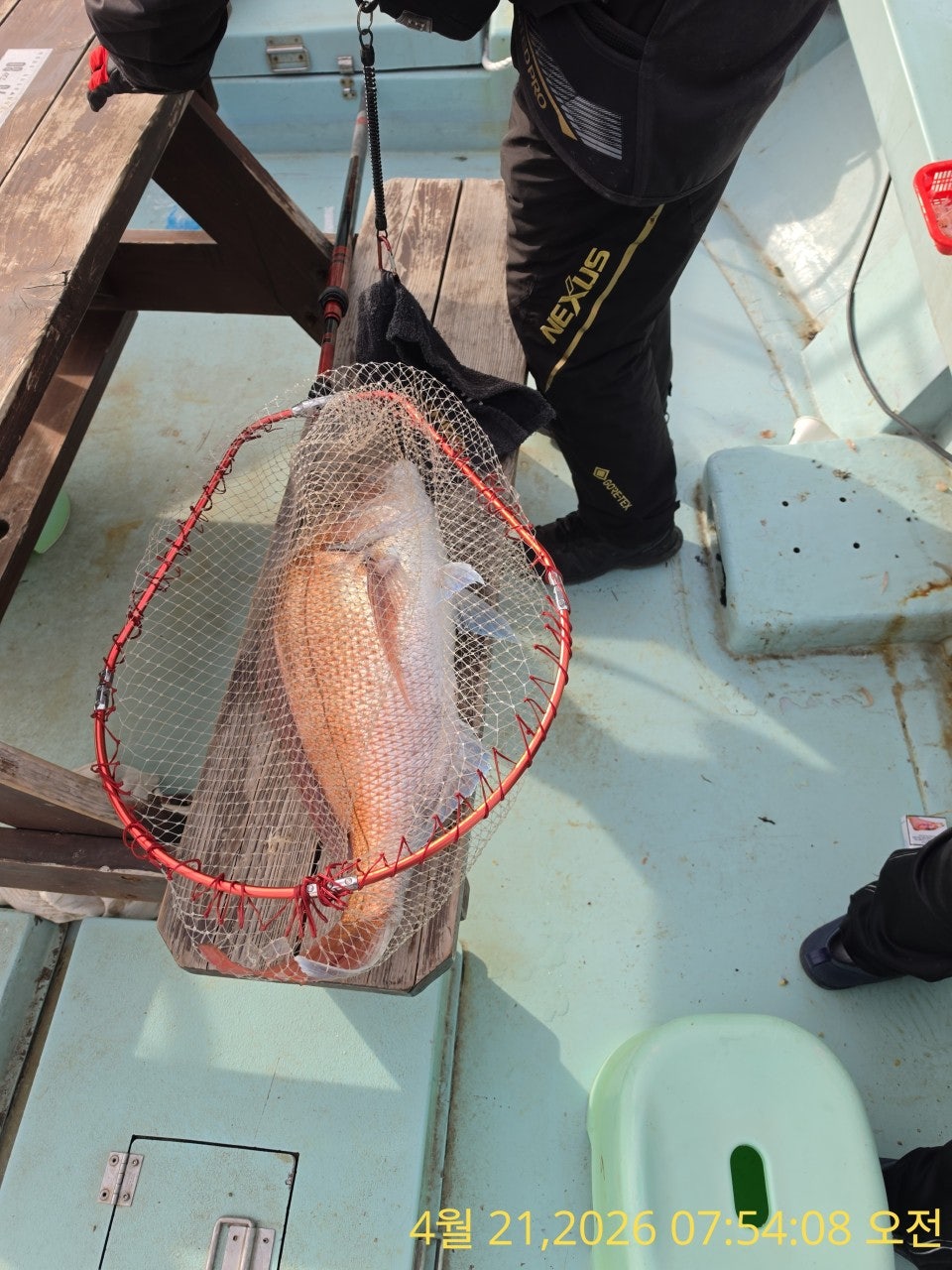 ����ڰ� �ø� �̹���