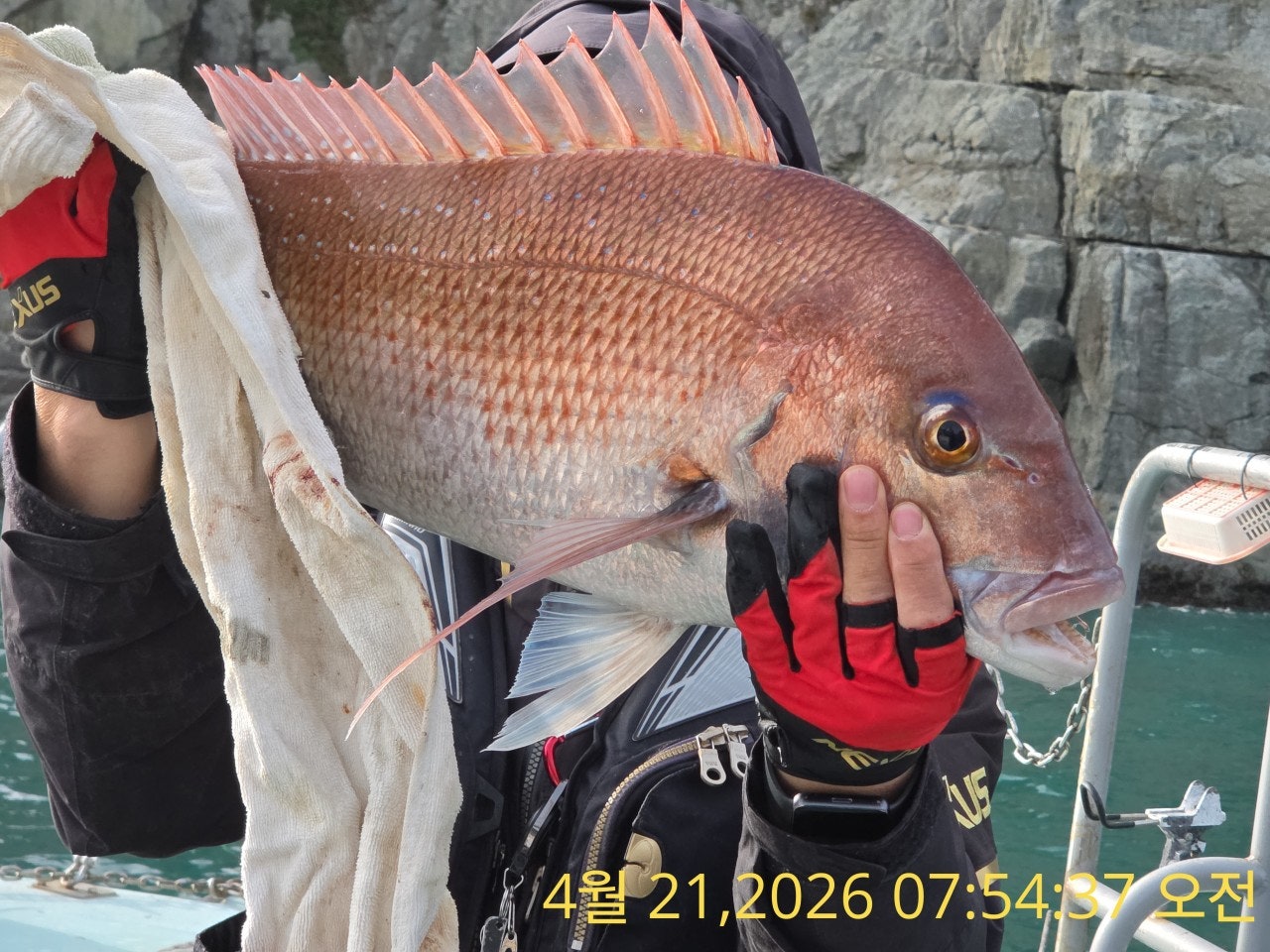 ����ڰ� �ø� �̹���