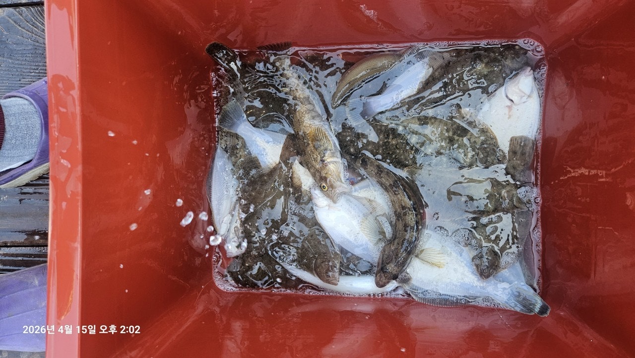 ����ڰ� �ø� �̹���