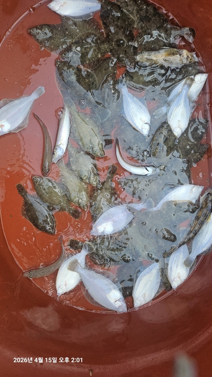 ����ڰ� �ø� �̹���